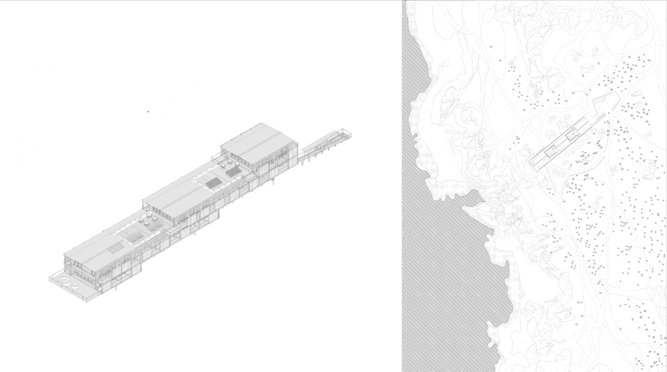 Estructura modular en madera masiva, vista general — proyecto de título PTMG